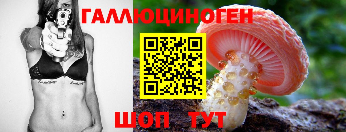 Галлюциногенные грибы Psilocybe  Псилоцибиновые грибы GOLDEN TEACHER  Саянск  Вход с VPN 